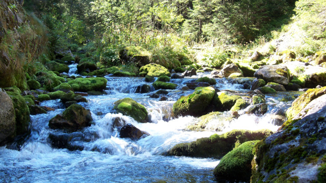 Dolina Kościeliska Dolina Kościeliska