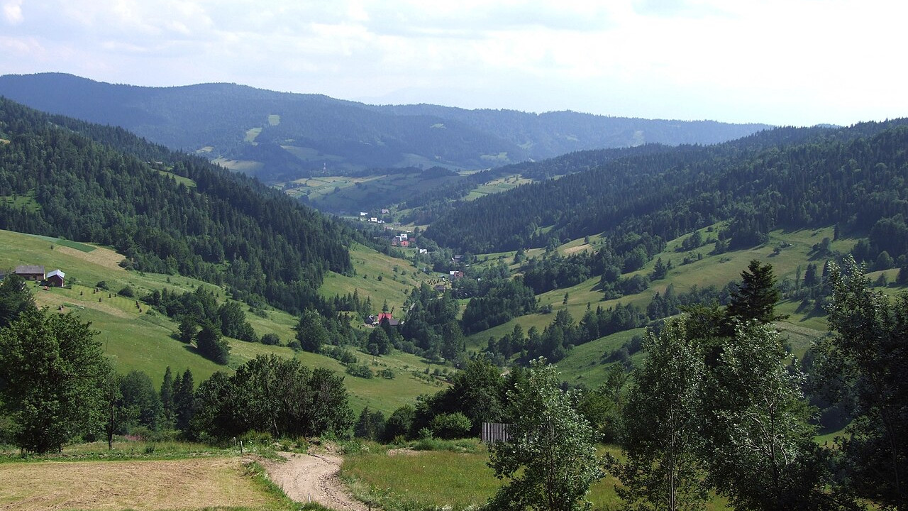 Dolina Potoku Jamne w Ochotnicy Górnej