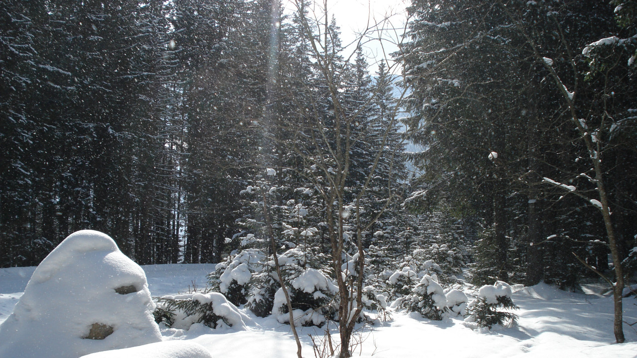 Droga nad Morskie Oko w zimie Droga nad Morskie Oko w zimie