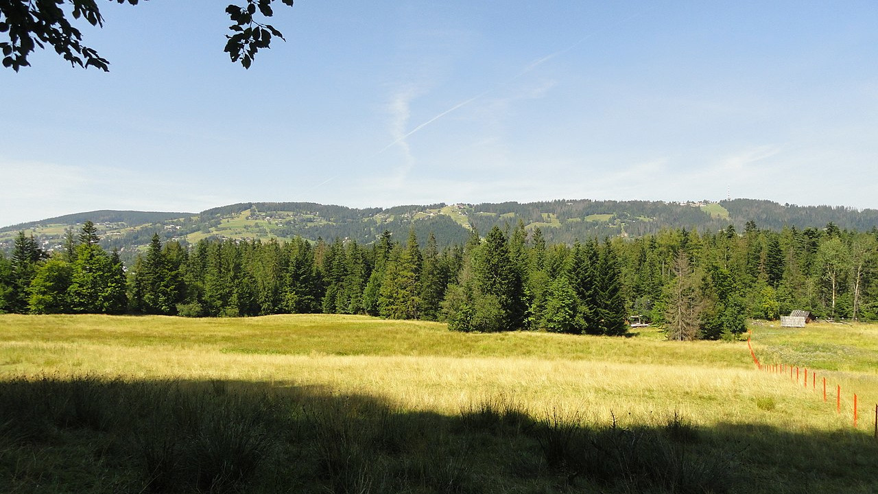 Droga pod Reglami w Zakopanem