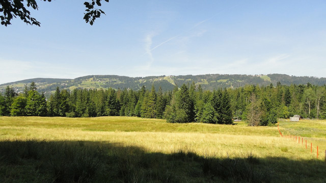 Droga Pod Reglami Droga Pod Reglami