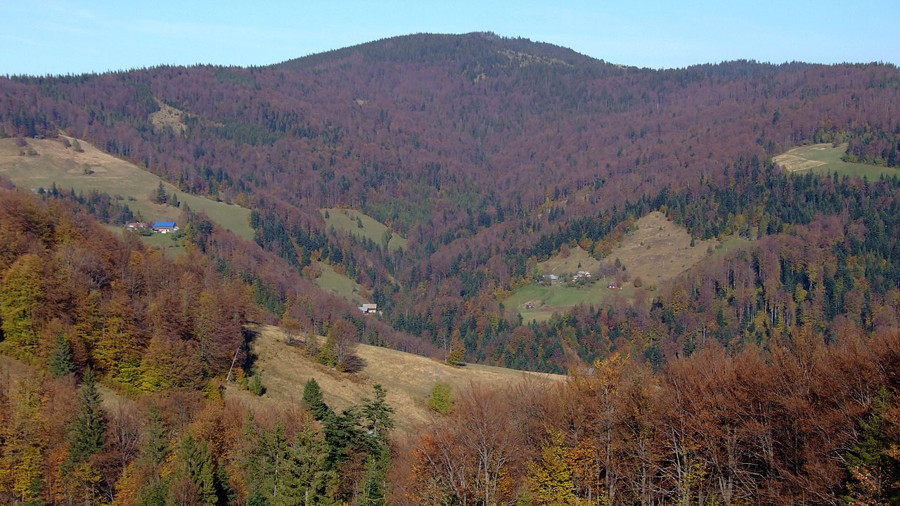 Gorc - widok z Doliny Jamnego Potoku
