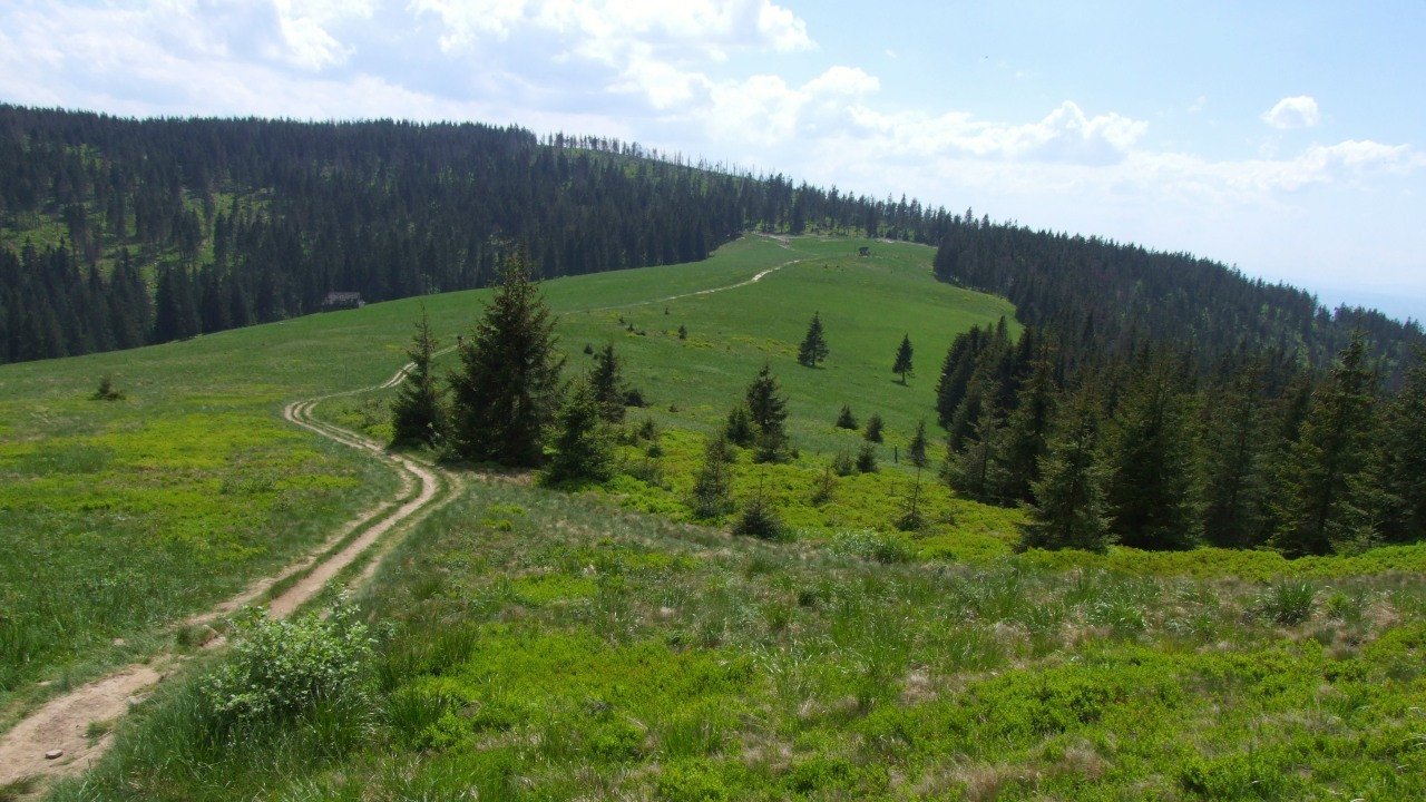 Hala Turbacz Hala Turbacz