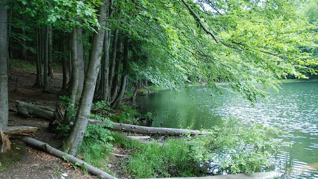 Jeziorka Duszatyńskie Jeziorka Duszatyńskie