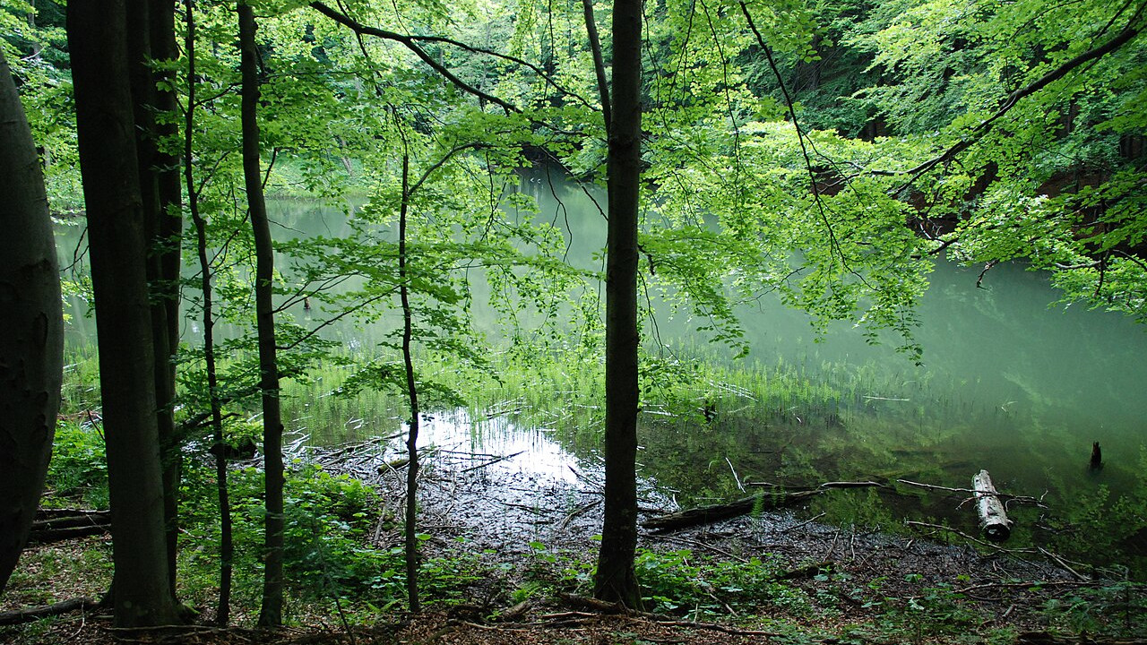 Jezioro Duszatyńskie Dolne Jezioro Duszatyńskie Dolne