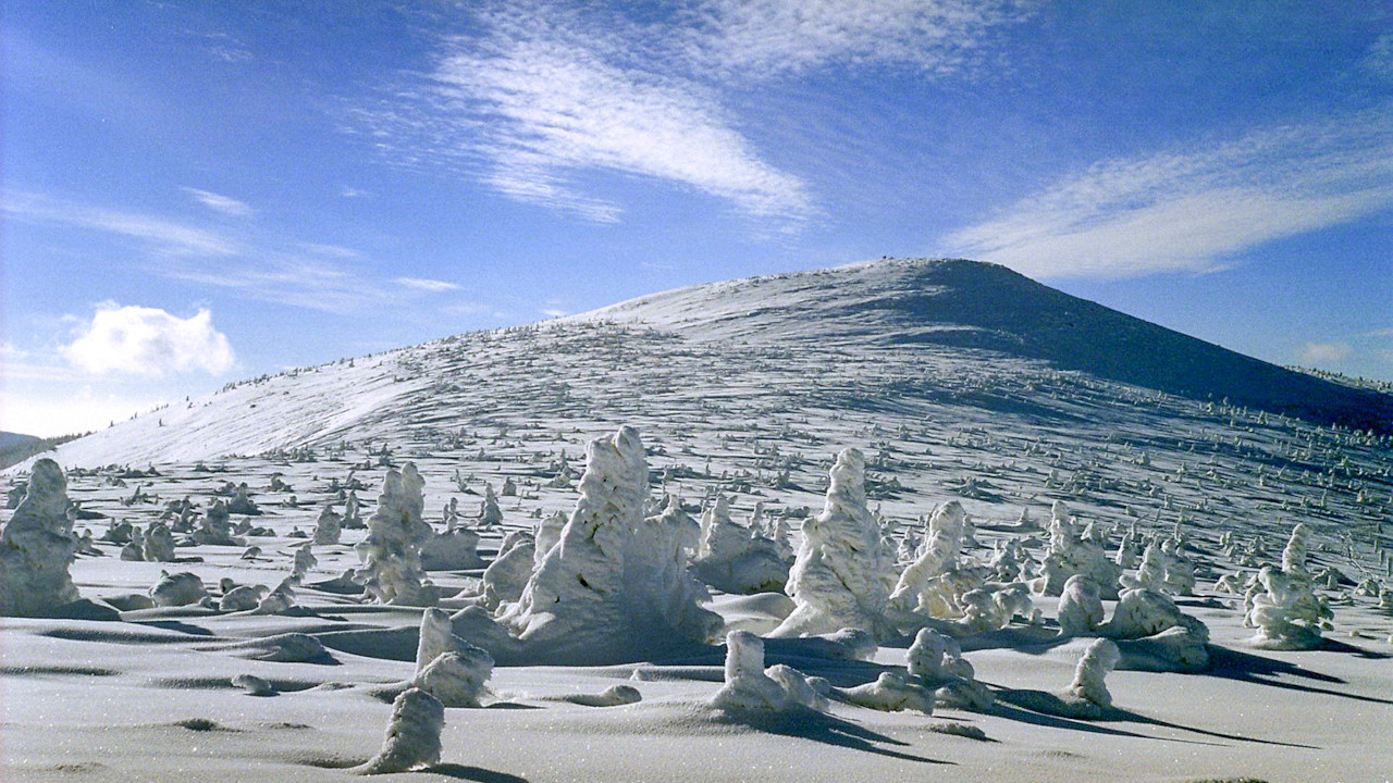 Mały Szyszak Mały Szyszak