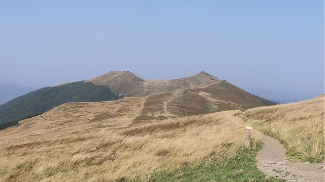Połonina Wetlińska Połonina Wetlińska
