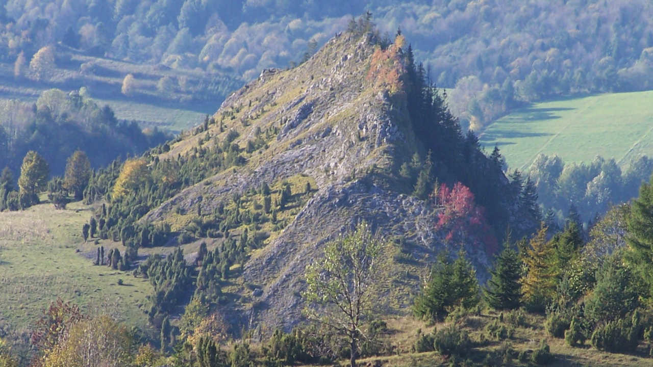 Rezerwat Biała Woda Rezerwat Biała Woda