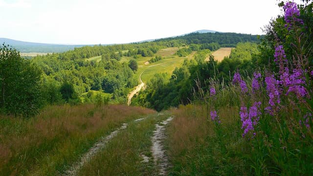 Świętokrzyski Park Narodowy Świętokrzyski Park Narodowy