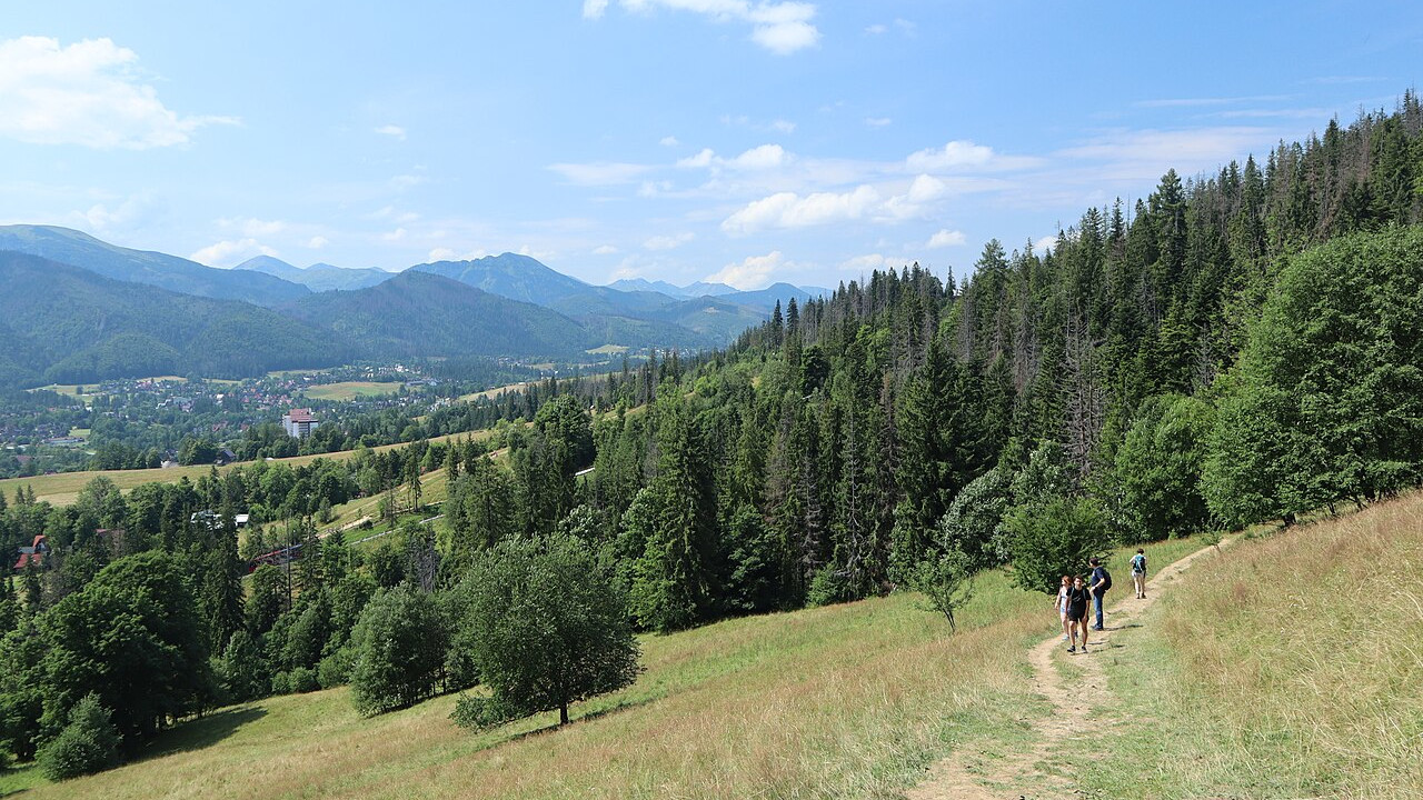 Szlak na Gubałówkę Szlak na Gubałówkę