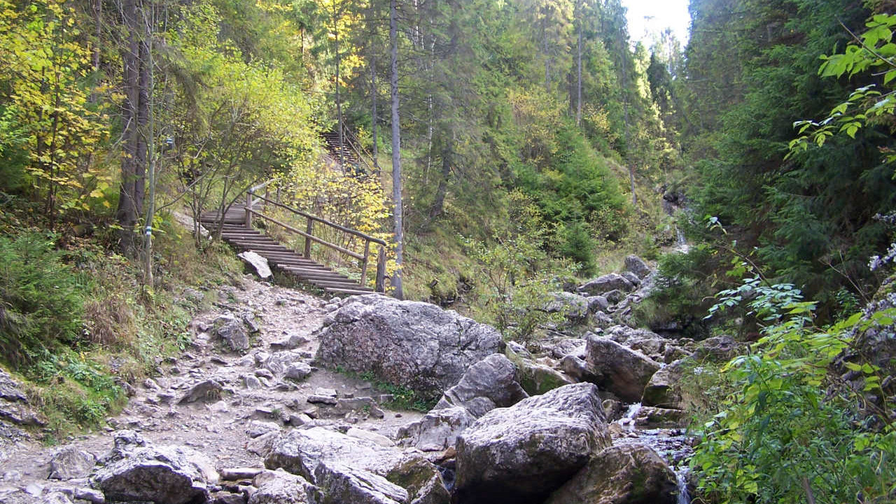 Wąwóz Homole Wąwóz Homole