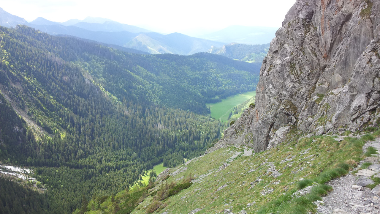 Widok na Dolinę Małej Łąki Widok na Dolinę Małej Łąki