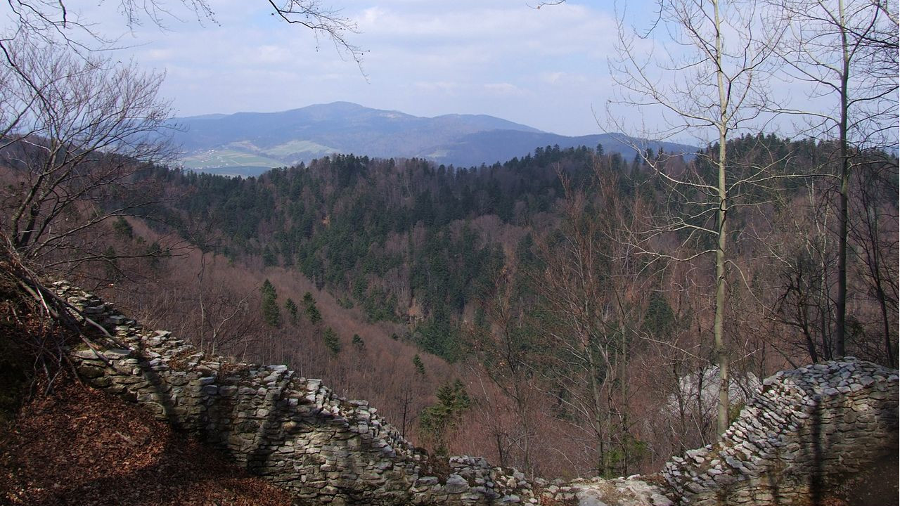 Widok z Zamkowej Góry Widok z Zamkowej Góry